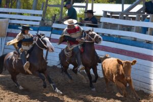 JBL_7632 Rodeo Comunal